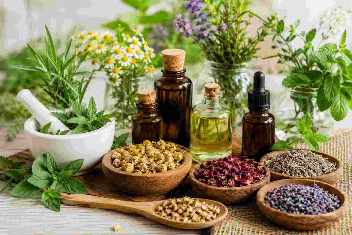 The Role of Botanical Ingredients in Modern Natural Formulations