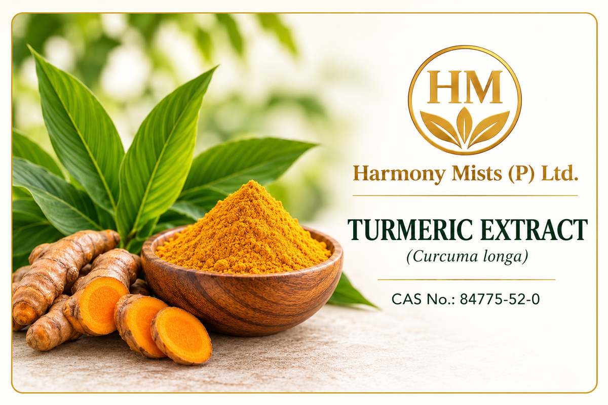 Turmeric Extract