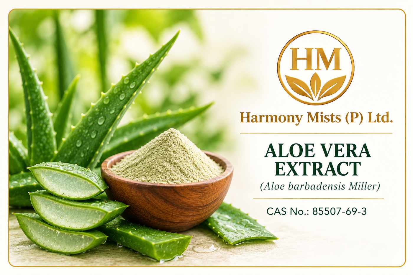 Aloe Vera Extract