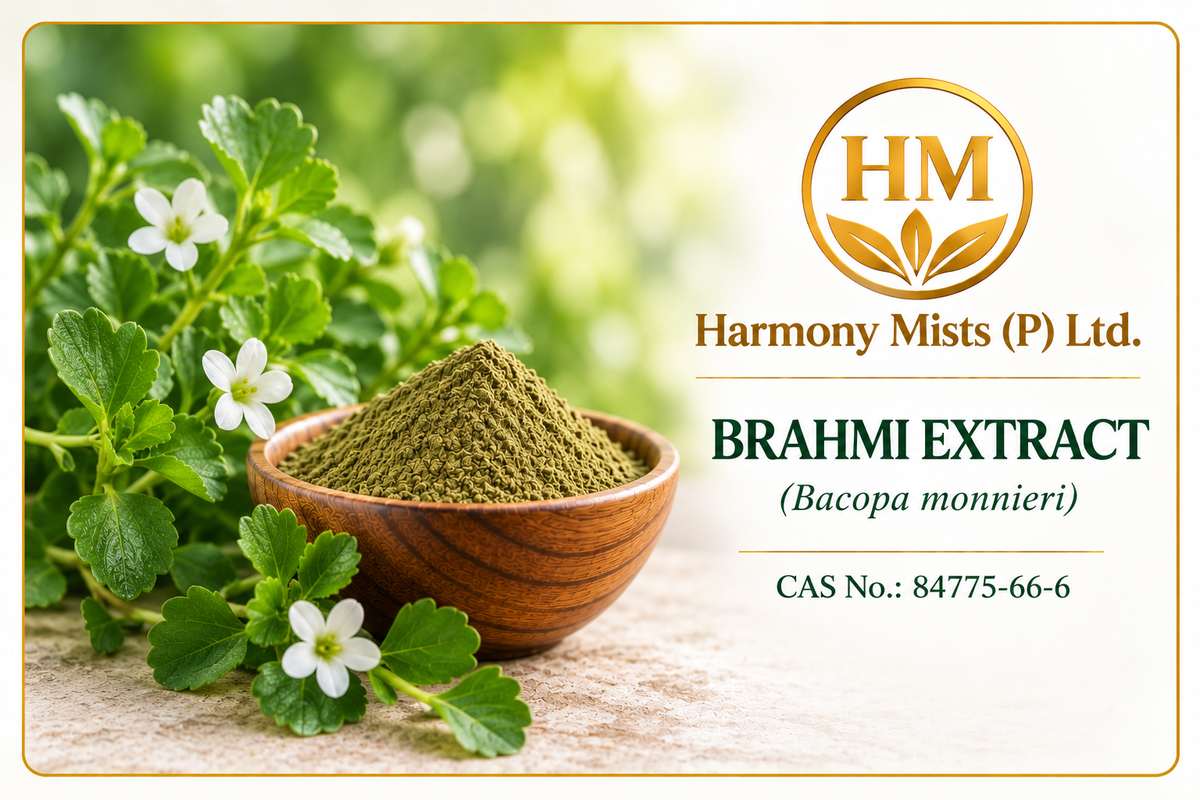 Brahmi Extract