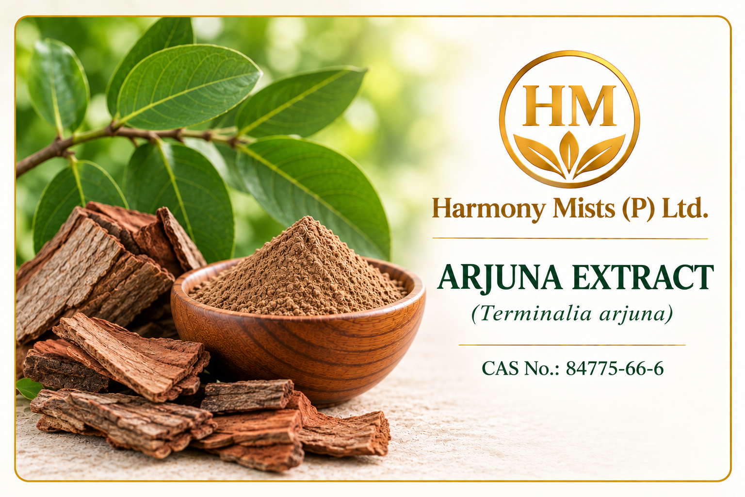 Arjuna Extract