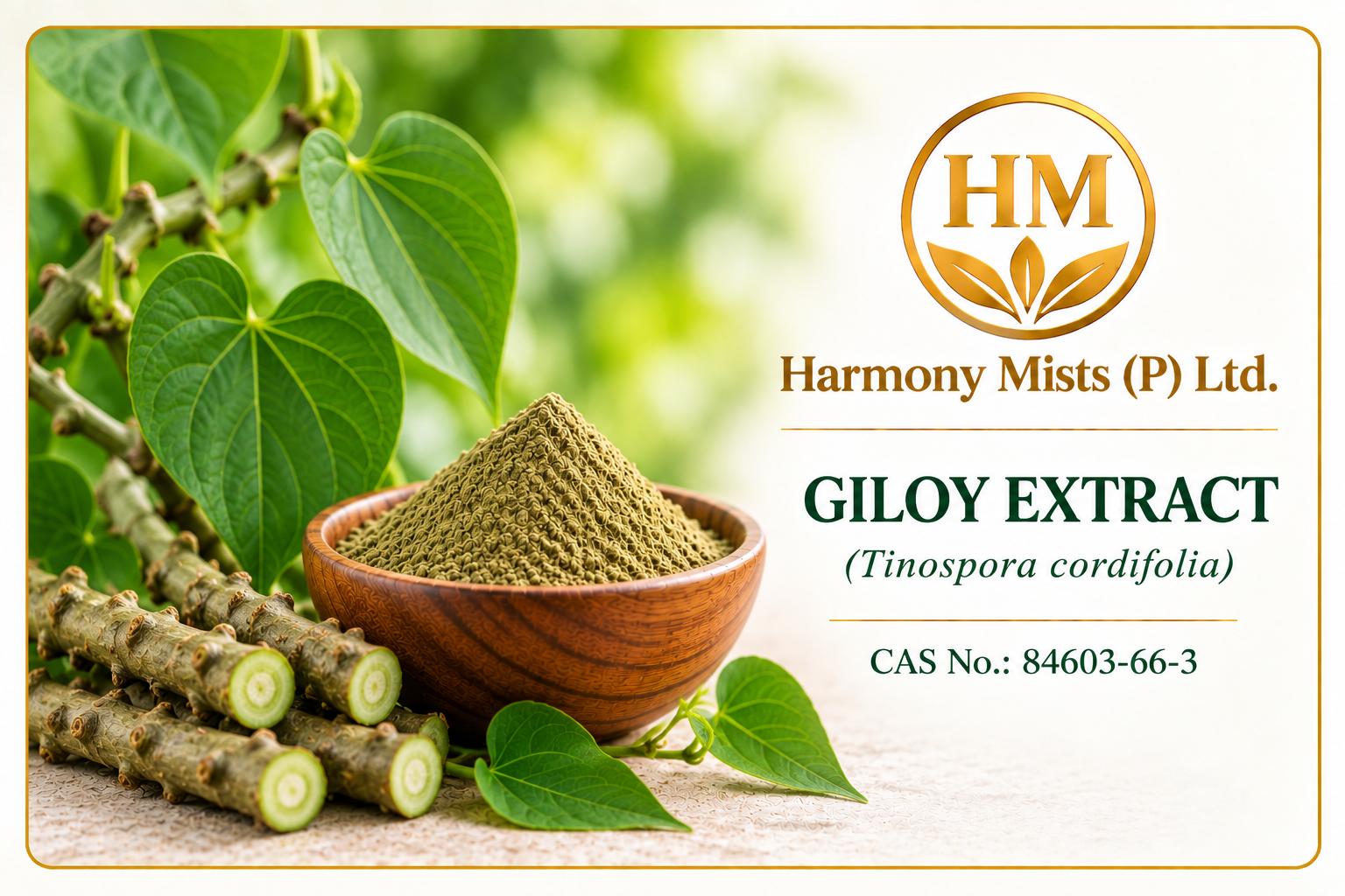 Giloy Extract