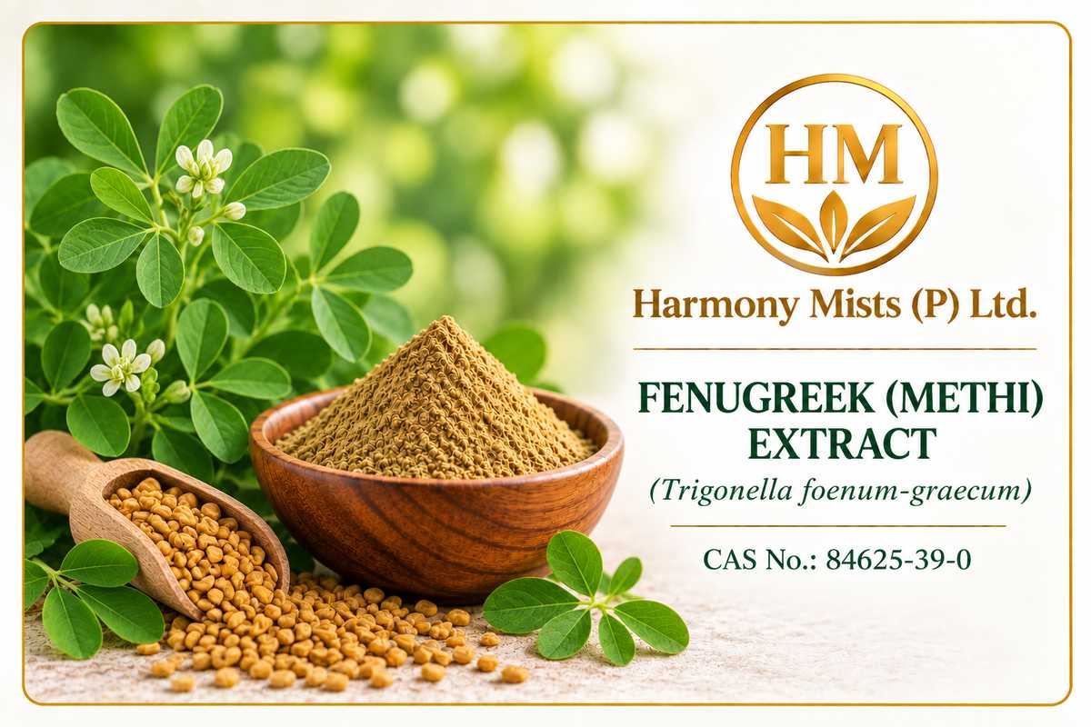 Fenugreek / Methi