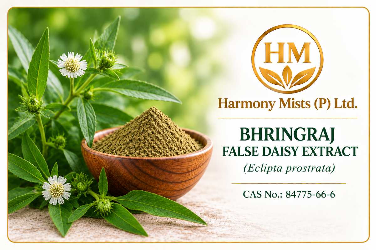 Bhringraj,  False Daisy