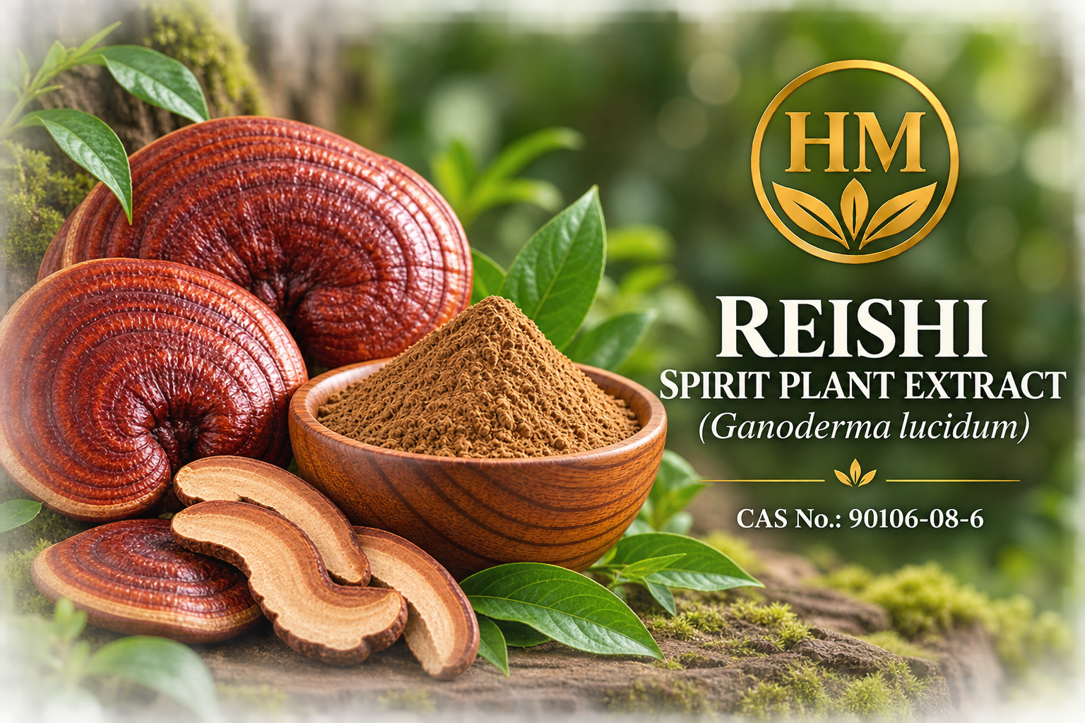 Reishi