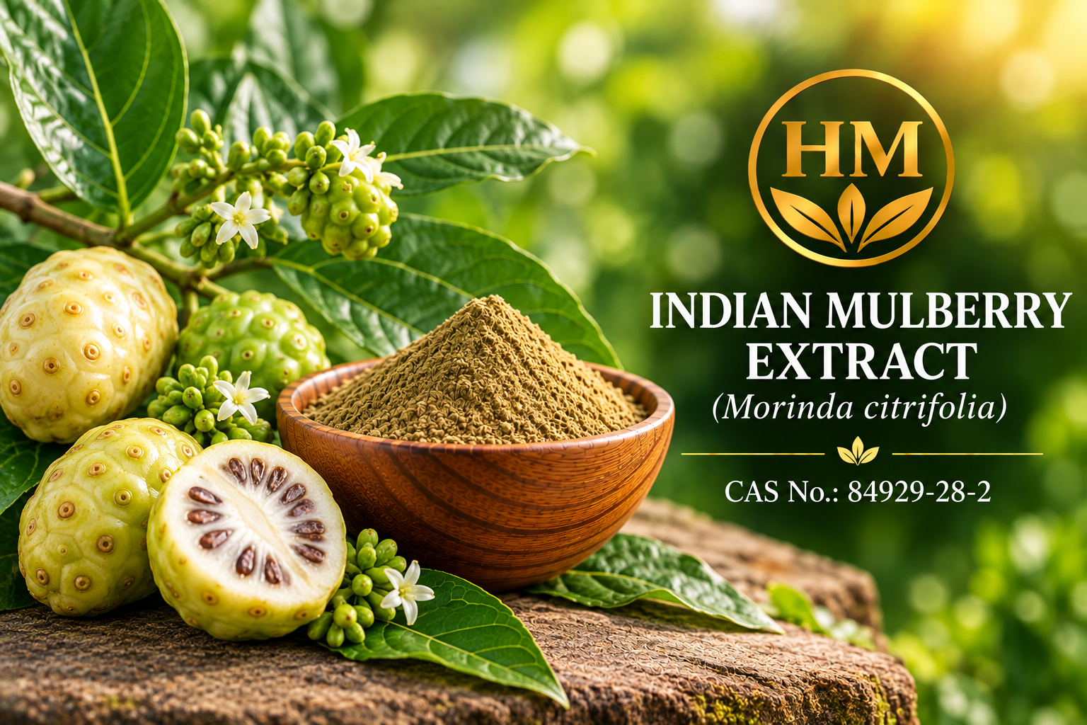 Indian Mulberry