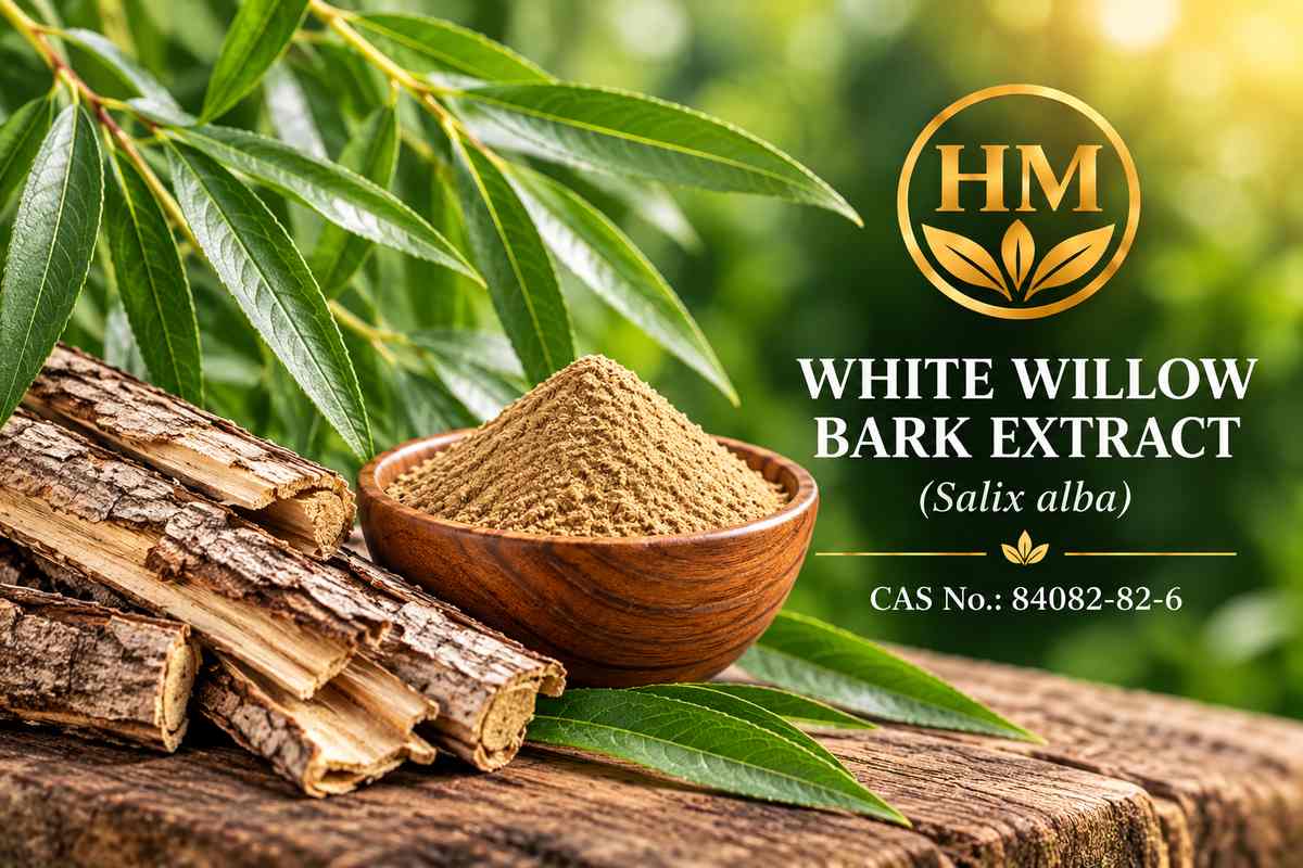 White Willow Bark Extract