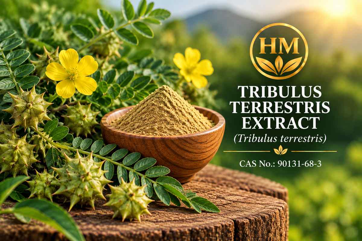 Tribulus Terrestris Extract