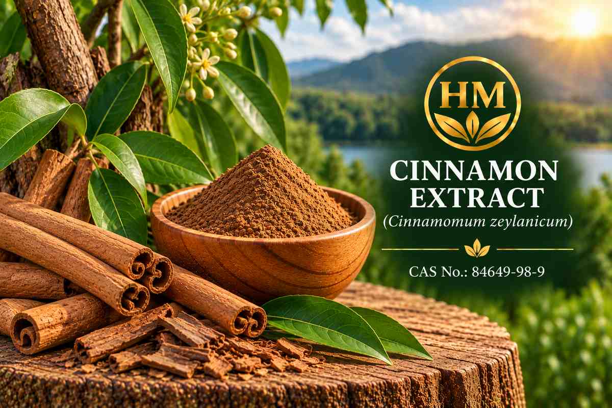 Cinnamon Extract
