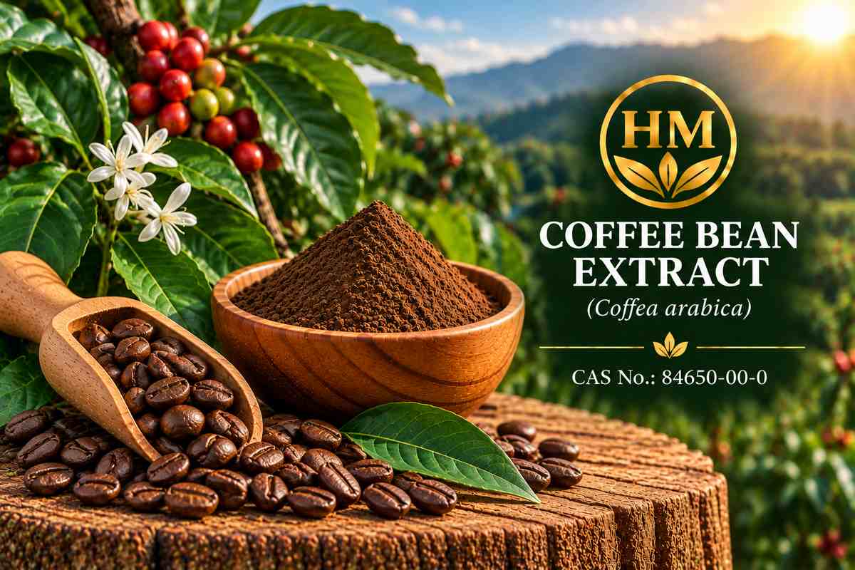 Coffee Seed Extract
