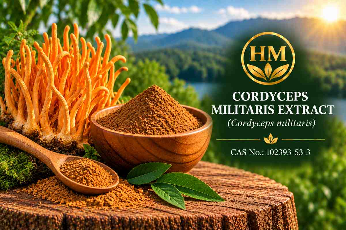 Cordyceps militaris Extract
