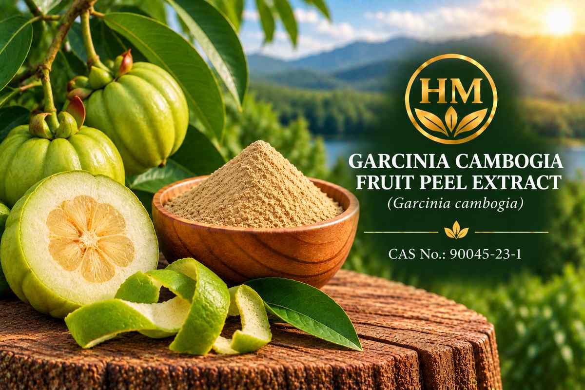 Garcinia Cambogia Fruit Peel Extract