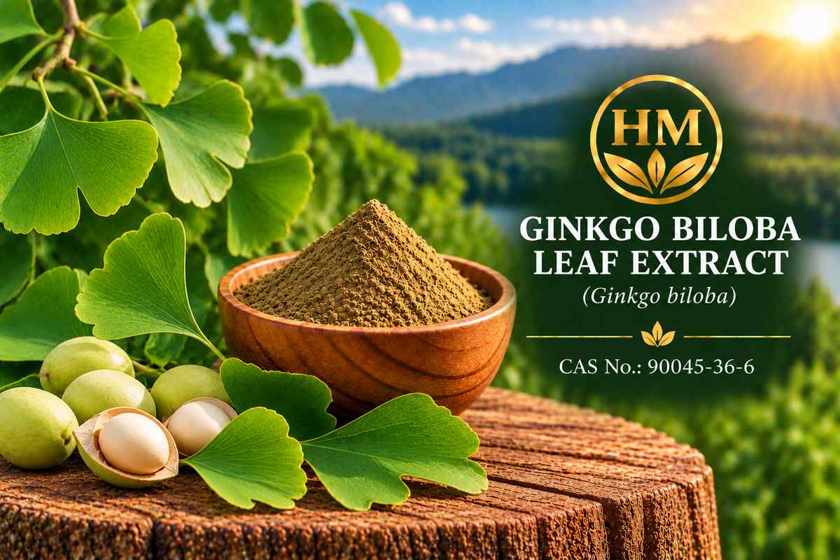 Ginkgo Biloba Leaf Extract