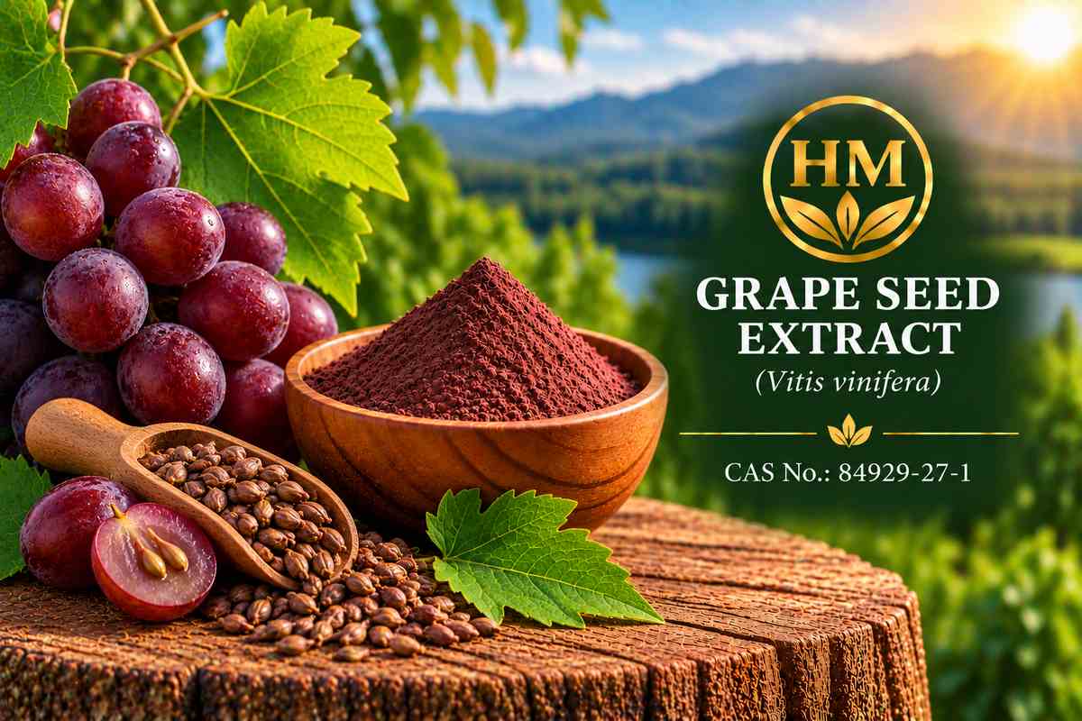 Grape Seed Extract