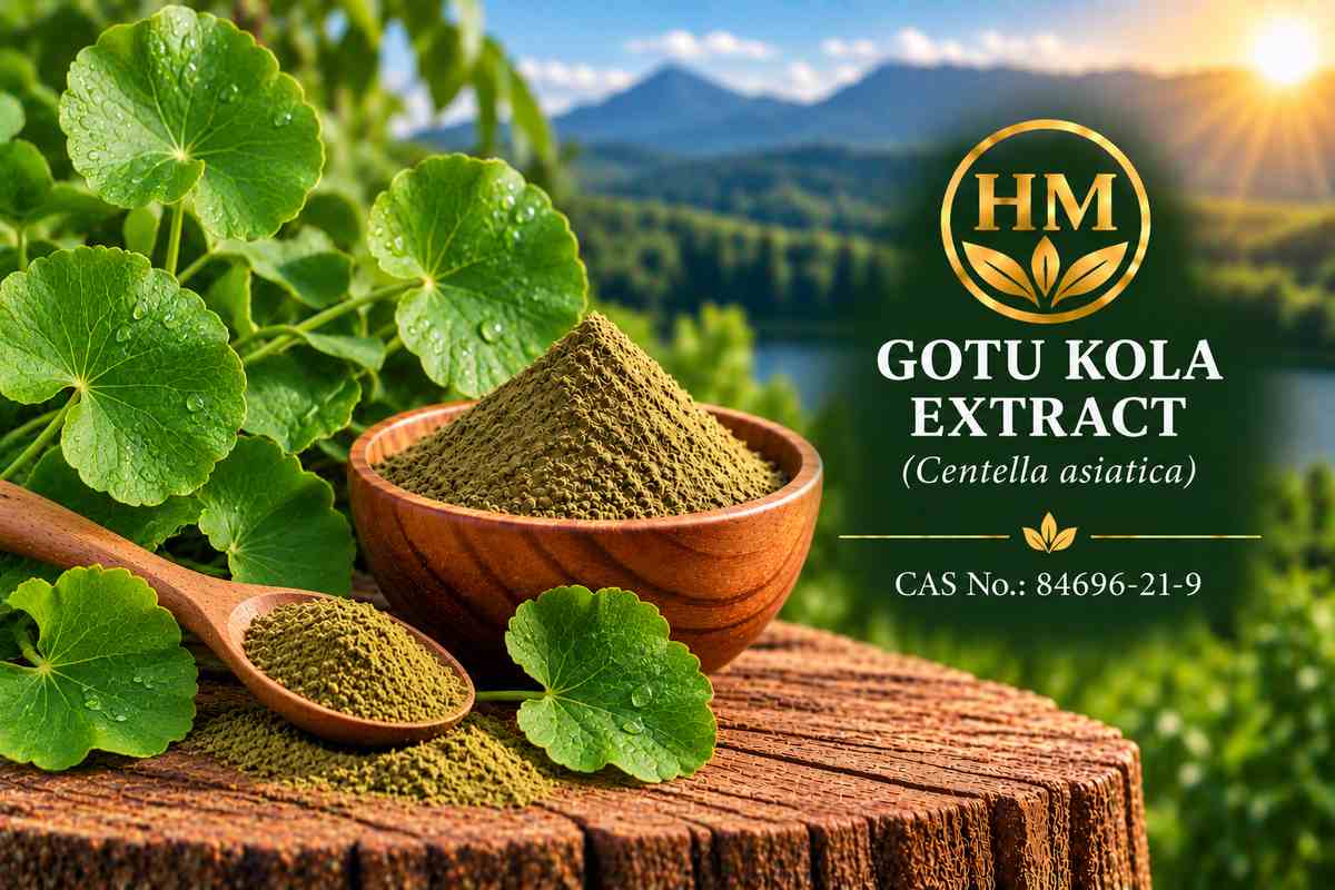 Gotu Kola Leaf Extract
