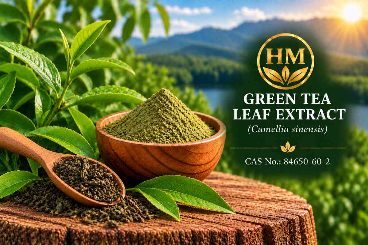 Green Tea Leaf Extract